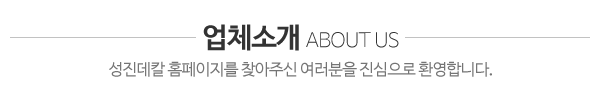 성진데칼_업체소개_내용